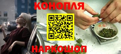 индика Кандалакша