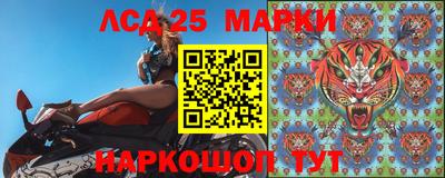 индика Кандалакша