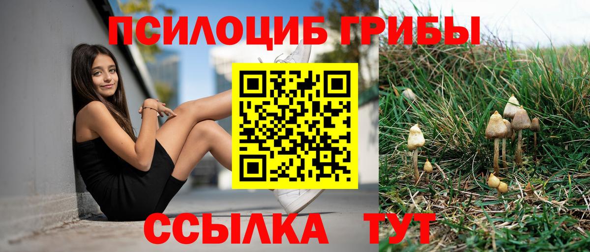 Псилоцибиновые грибы мухоморы Ноябрьск