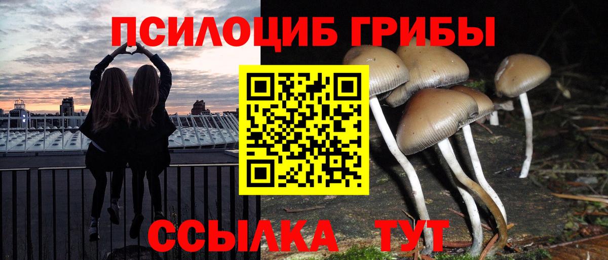 Псилоцибиновые грибы прущие грибы  Вход с VPN  Галлюциногенные грибы Psilocybine cubensis  Ноябрьск 