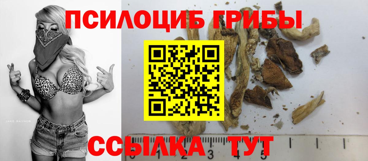 Псилоцибиновые грибы Psilocybine cubensis Ноябрьск